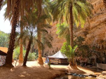 モーリタニアオアシス